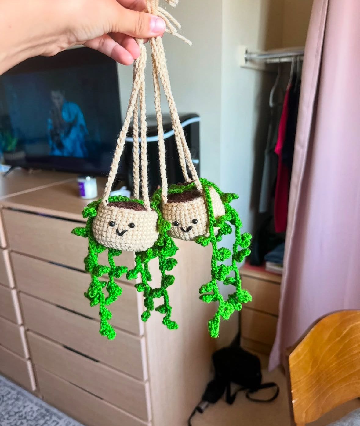 Crochet hanging Plant