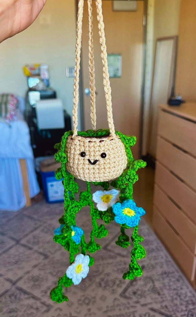 Crochet hanging Plant